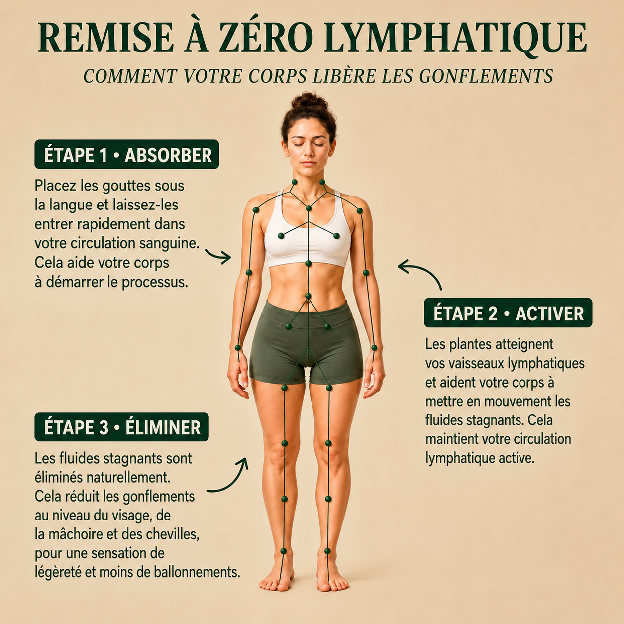 DRAINANT LYMPHATIQUE LYMÉVIA®
